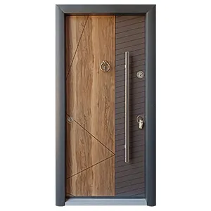 TURKISH STEEL DOORS 2243